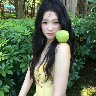 菊石